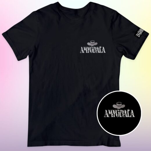 Camiseta BTS Solos - D Day - Amygdala